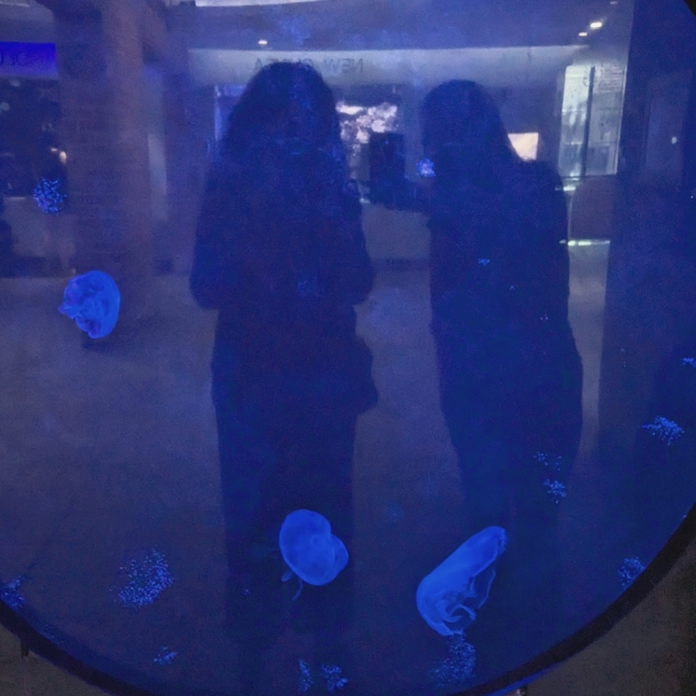 Meet your Posher, Ev